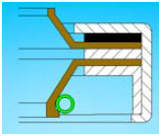 PTFE oil seals