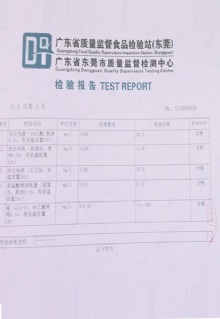 test report