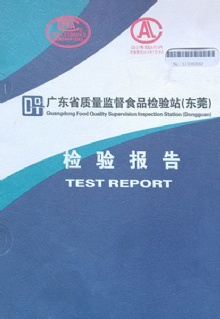 test report