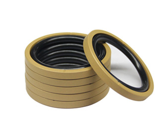 Piston seals.