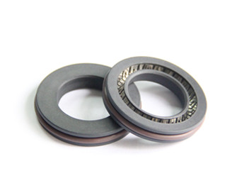 Spring energized seals