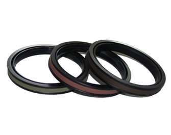 SPGW seals