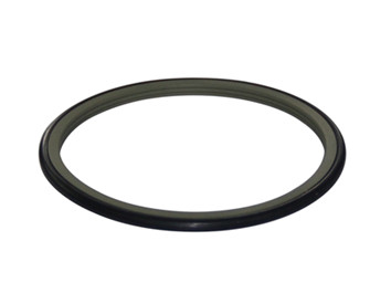 Rotary shaft seal.