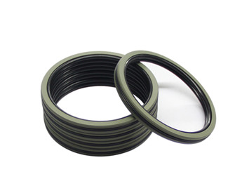 Piston seals.