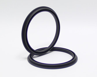 Spring energized seals.