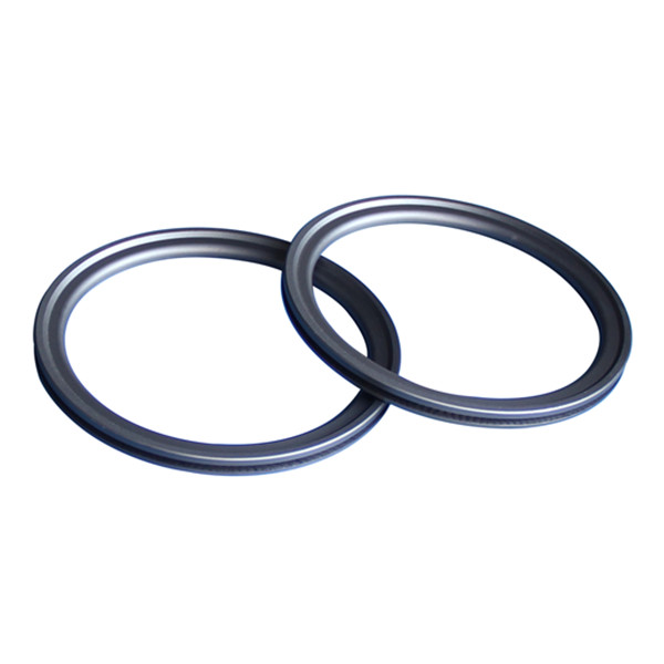 Spring energized seal