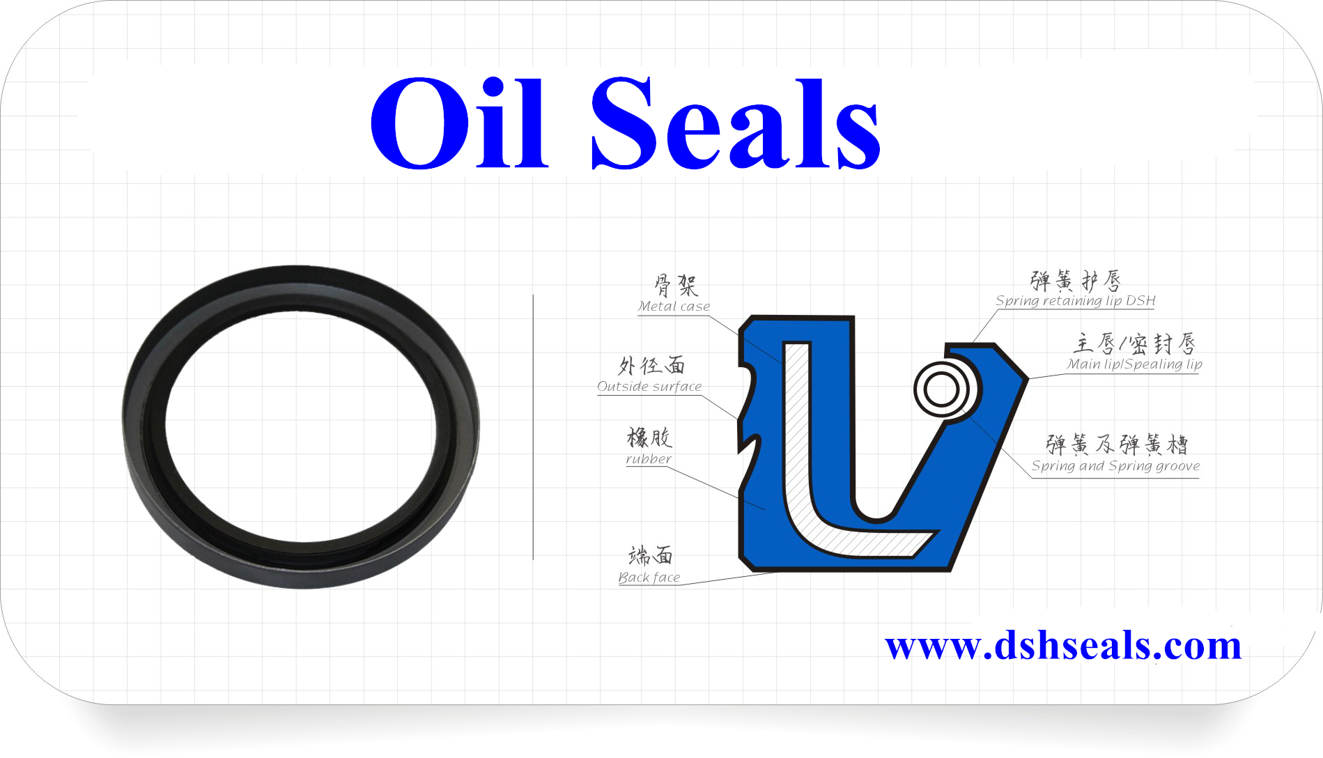 Oil Seal