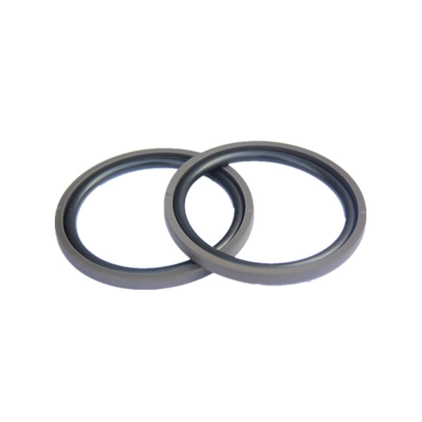 Piston Seals