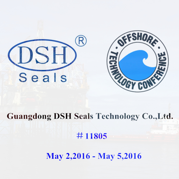 DSH Seals