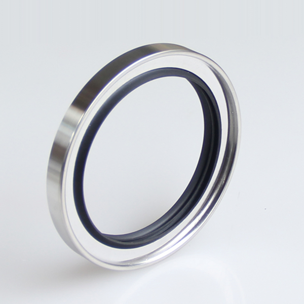 Stainless Steel Lip Oil Seals