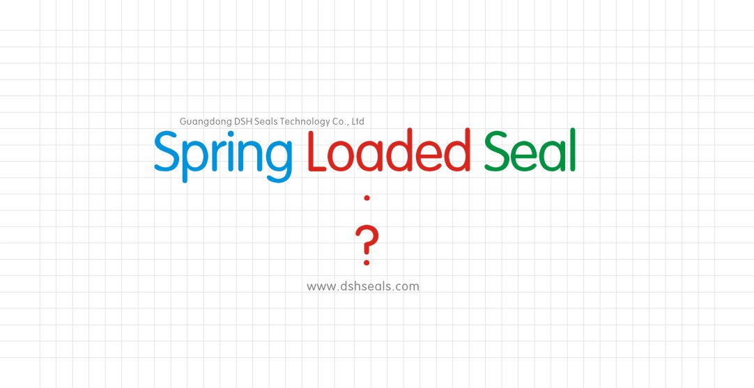 spring loaded seal