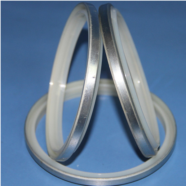 Wiper seals