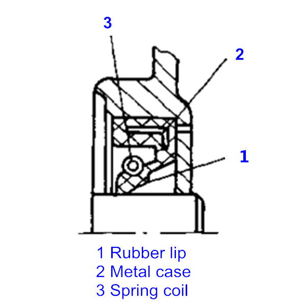 Oil Seals