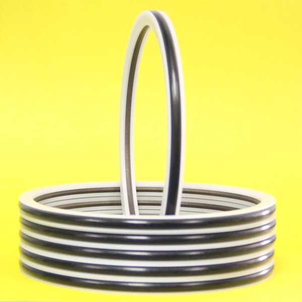 PTFE Combined Seal