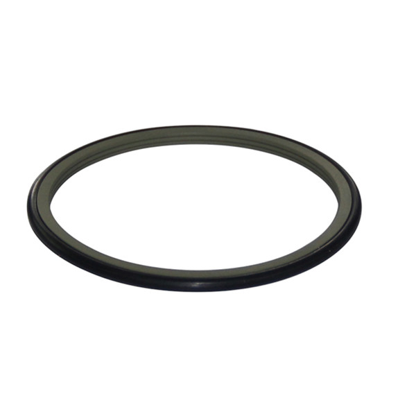 rotary shaft seal DRS