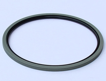 piston rotary glyd ring manufacturer