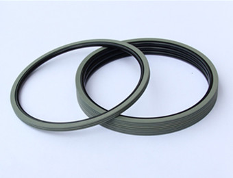 piston rotary glyd ring manufacturer