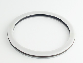 piston rotary combination seals