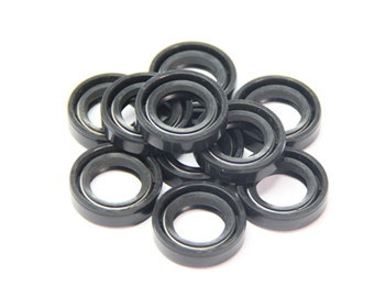 Oil Seal