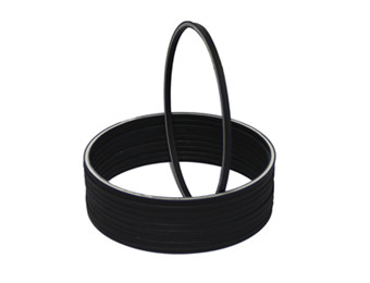 spring energized seals