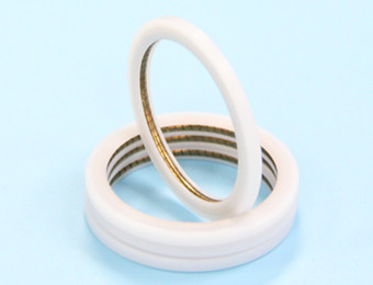 helical spring energized seals