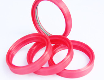 Rod Seals