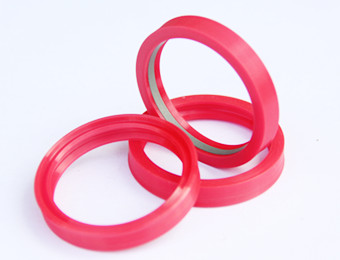 Rod Seals