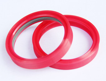 Rod Seals