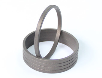 Piston Seals