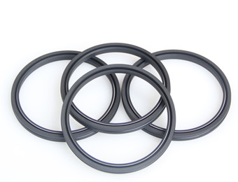 Oil Seals