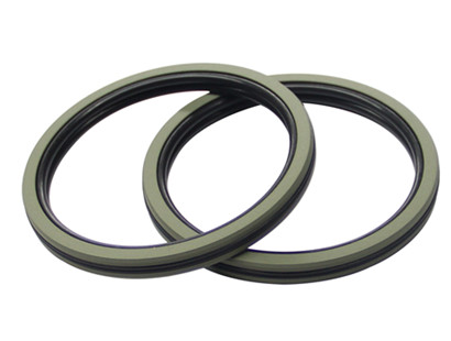 Piston seals