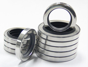 PTFE oil seal