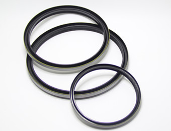 Wiper Seals