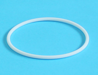 PTFE o ring