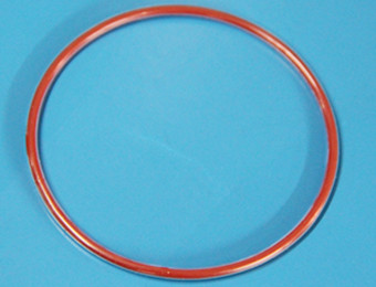 Encapsulated O ring