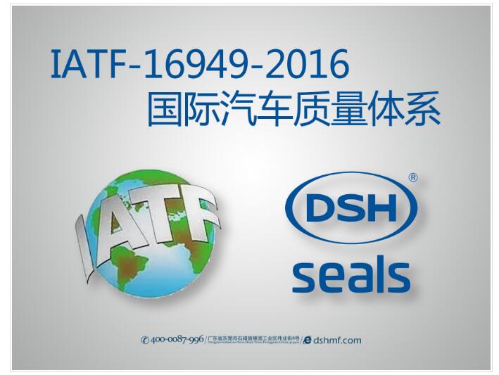 DSH Seals