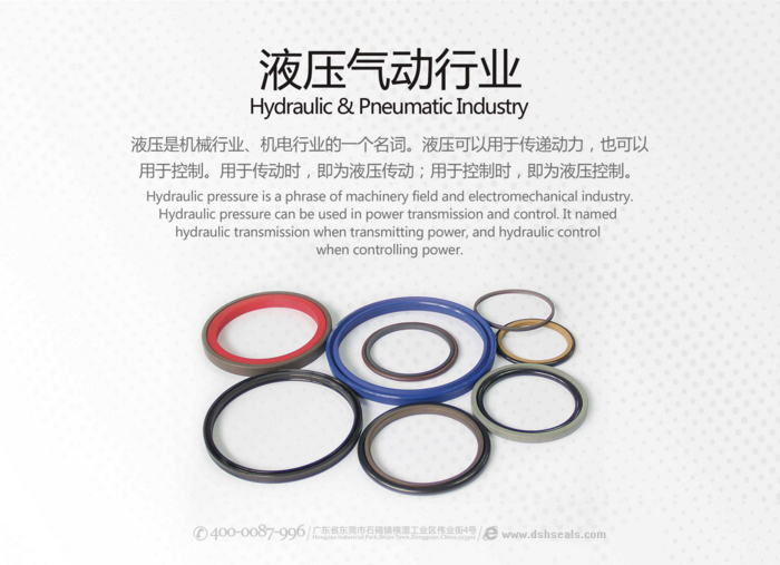 Hydraulic seals