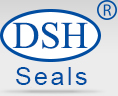 DSH Seals®, PTFE oil seals, LB oil seals, Guangdong DSH Seals Technology Co.,Ltd.